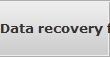 Data recovery for Olive Branch data